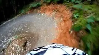 Cardinham Forest descent