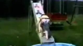 videos chistosos caidas comias