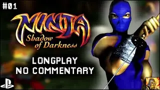 Ninja: Shadow of Darkness [Longplay] [No Commentary] [#01]