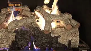 R.H. Peterson Real Fyre Burnt Aspen Logs with G52 Burner - Blazzing Fire