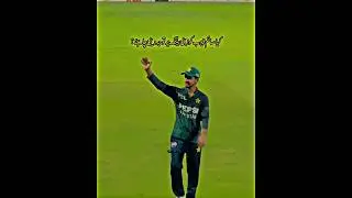 Saim Ayub Interaction With Fans #viralvideo #viralshort #shorts #cricket #cricketlover