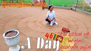 වැඩ ගොඩක් එක්ක මගේ තවත් දවසක් vlog sinhala | shopping vlog | day in life #vlog #vlogger