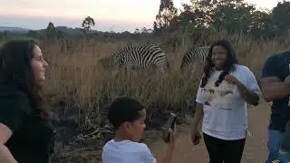 Epic Safari Adventure at Game Haven, Malawi