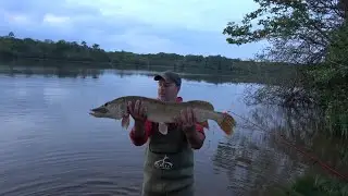 pêche au vif au bouchon...départ en direct !