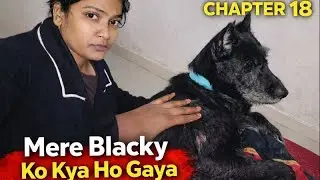 Mere  blacky Ko Kya Ho Gaya 😱😱😱😱