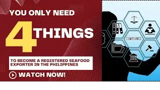 Easy Steps: Your Path to Seafood (Chilled/Frozen) Export in the Philippines