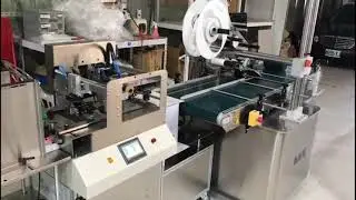 Nexus Automatic Pouch Feeder & Pouch Labelling