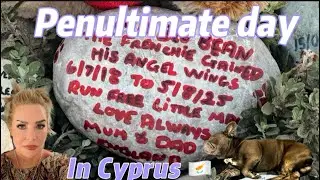 Special pebble gets its RESTING PLACE 💔#blu #dog #cyprus #paphos #travel #holiday #beach #love #rip 