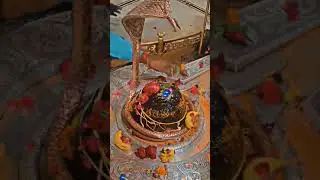 🔱Augustevar# 🔱Mahadev🔱 #Ishwar 🔱#Mahadev🔱#sort🔱 #video 🔱