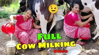 Full Cow Milking Video || jaya ghosh#viral #milking #youtube  video