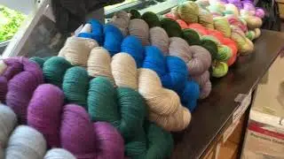 Miss Babs Trunk Show Preview