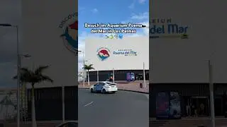 Impressionen aus dem Aquarium Poema del Mar in Las Palmas #aquarium #fische #laspalmas