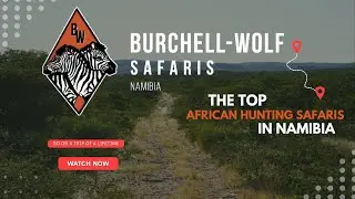 Where Africa Comes Alive | Burchell Wolf Safaris Namibia