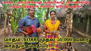 காடை , நாட்டுக்கோழி வளர்ப்பில் அசத்தும் தம்பதியர் | நல்ல வருமானம் தரும் காடை வளர்ப்பு | Kaadai farm.