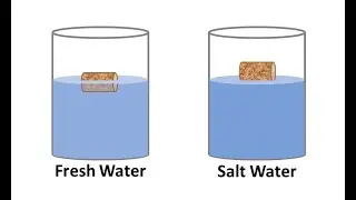 Why apply the density of 1.012 in question??