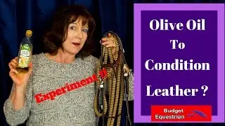 Using Olive Oil To Condition Horse Tack