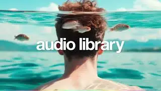 Electronic &middot; Chill &middot; House by SEUBi   No Copyright Music    Lost In