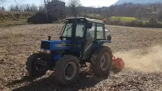 Trinciatura 2019 stocchi mais