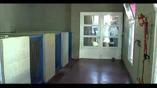 Centro de Recogida y Adopción de Animales de Alcorcón (CRAA)