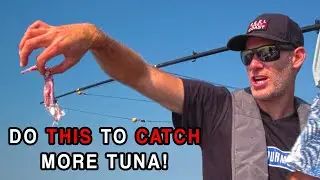 How We Hammer Tuna - Set Up and Walkthrough