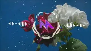 Mysterium - Vibrant Flowers [Ambient]
