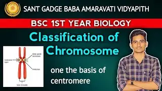 BSc 1st year classification of chromosome, types of chromosome on the basis of centromere.
