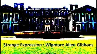 Strange Expression BY :  Wigmore Allen Gibbons