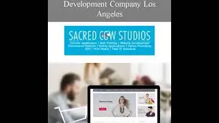 Professional Ecommerce Website Design Company Los Angeles