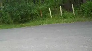 MG Burnout.wmv