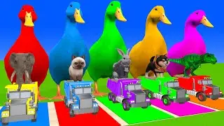 5 Giant Duck Cartoon,Cow,Elephant,Tiger,Lion,Dinosaur,Paint Wild Animals Crossing Fountain Animation