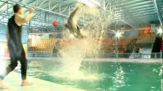 The Dolphin Resort Bahrain