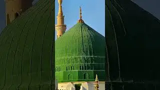 y shehir e Mustafa h Madina Kareem h #foryou #ytshorts #dropsenabled #shortyz #getabag #yotricks #yt