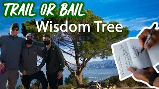 Trail or Bail: The Wisdom Tree