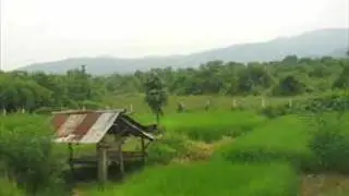 Thai Isaan song Pornsak Luk thung/Thai/Issan Music.