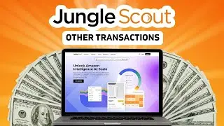 How To Use JungleScout Other Transactions (Amazon Tool)