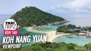 Koh Nang Yuan Viewpoint tour | Koh Tao, Thailand