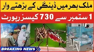 Dengue Fever Increases In Pakistan | Cases Report Latest Updates | Breaking News