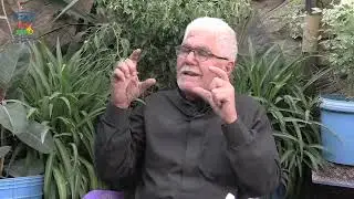 اهل البلد || راديو فرش || 3-12-2024