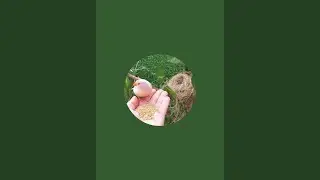 بدأت قناة 