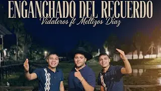 Vidaleros – Enganchado del Recuerdo (Te Amo / Déjame Entrar) (ft. Los Mellizos Díaz)