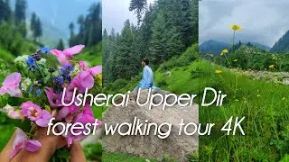 Usheri Dara Forest Nature Vlog | Hidden Beauty of Khyber Pakhtunkhwa