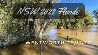 NSW Floods 2022 - Wentworth