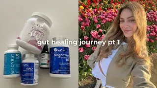 gut healing journey part 1 | gi map results, holistic protocol for h pylori, parasites, leaky guy