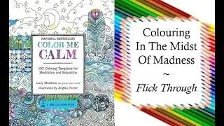 Color Me Calm by Lacy Mucklow and Angela Porter | Colouring Book Flick Through