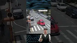 Dog in Crosswalk?! Who&rsquo;s at Fault?