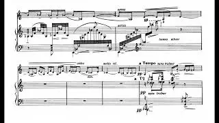 Albert Huybrechts, Sonate for violin and piano (1925) (audio + score)