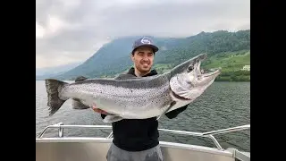 Seeforelle Live Biss WaterWolf Schleppfischen Fischen L&ouml;ffel Perlmutt