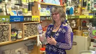 Garden Gate: Episode 129 - Attracting birds with peanuts and suet (Nov. 24, 2017)