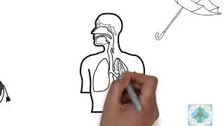 Depositie Video SATL