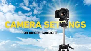 Camera Settings for Bright Sunlight